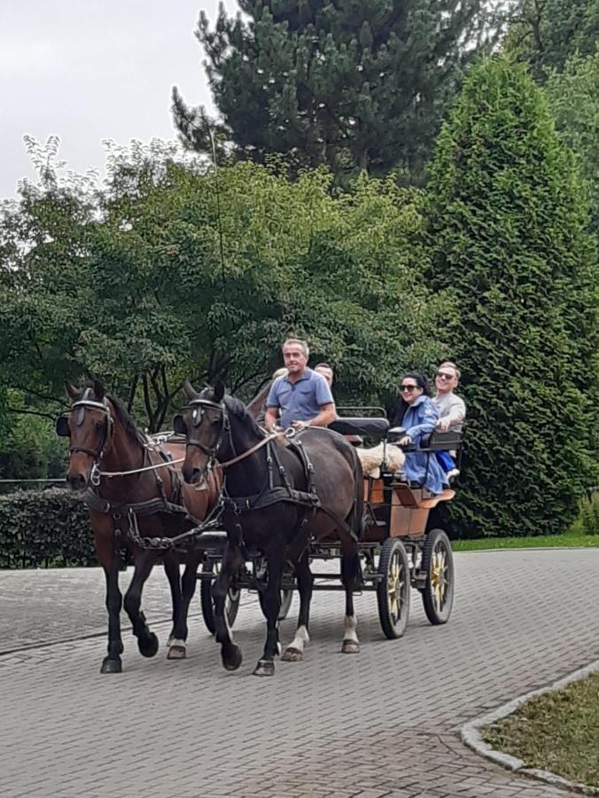 Der Perfekte Ausgangspunkt Lejlighed Konigerode Eksteriør billede